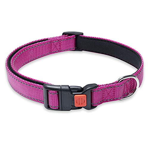 Reflektierendes Hundehalsband mit Schnalle, verstellbar, Sicherheits-Nylon-Halsbänder für kleine, mittelgroße und große Hunde, Pink XL von BOOMIBOO