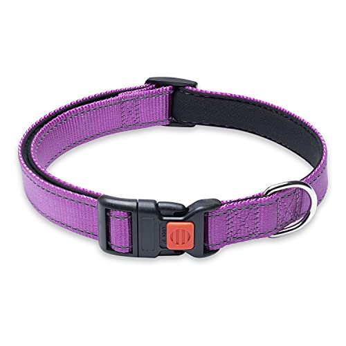 Reflektierendes Hundehalsband mit Schnalle, verstellbar, Sicherheits-Nylon-Halsbänder für kleine, mittelgroße und große Hunde, Violett M von BOOMIBOO