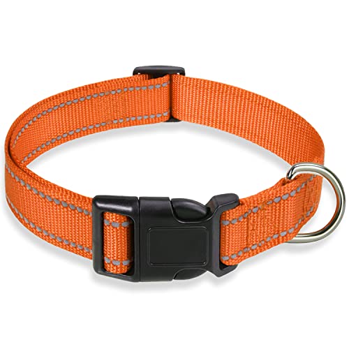 Reflektierendes Hundehalsband mit Schnalle, verstellbare Sicherheits-Nylon-Halsbänder für kleine, mittelgroße und große Hunde, Orange, S von BOOMIBOO