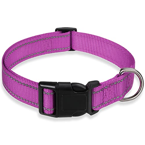 Reflektierendes Hundehalsband mit Schnalle Verstellbare Sicherheits-Nylon-Halsbänder für kleine, mittelgroße und große Hunde, Lila M von BOOMIBOO