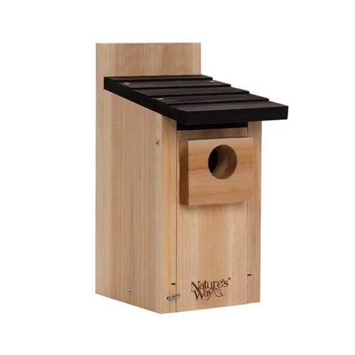 BOPIES Vogelhaus for kleine Vögel und Hamster, Dauerhaft Robust Hängend Holz Startseite Tür zur Reinigung Garten Wasserdicht Vogelhaus BOPIES Vogelhaus for kleine Vögel und Hamster, Dauerhaft Robust Hängend Holz Startseite Tür zur Reinigung Garten Wasserdicht Vogelhaus von BOPIES