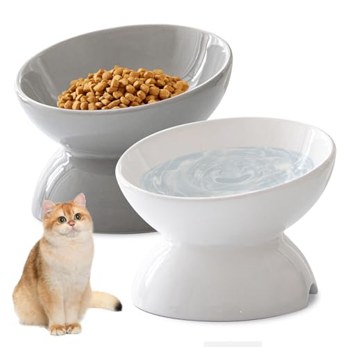 Katzennapf Erhöht - 2 Stück Futternapf Katze Erhöht, Erhöhter Katzennapf Keramik, Kipphals-Schutzschale Katzen Futternapf, Katzennäpfe Perfekt für Katzen, Welpen Kleine Hunde Katzennapf Erhöht - 2 Stück Futternapf Katze Erhöht, Erhöhter Katzennapf Keramik, Kipphals-Schutzschale Katzen Futternapf, Katzennäpfe Perfekt für Katzen, Welpen Kleine Hunde von BORDEAG