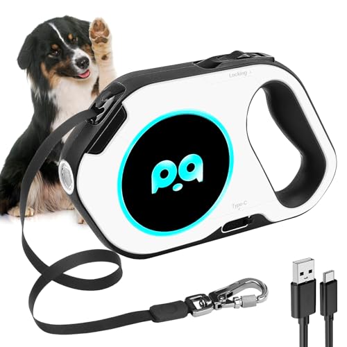 5 Meter Einziehbare Hundeleine, Rollleine Hundeleine, Leine Hund mit LED Hundeleine, 360° Verhedderungsfreier, Anti Rutsch Griff, für Kleine und Mittelgroße Hunde von BORDEAG