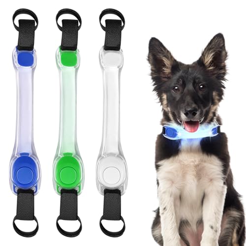 BORDEAG 3 Stück Leuchthalsband Hunde, Hundehalsband Leuchtend, Sicherheits Led Leuchtband Für Hunde Katzen, Wasserdichtes, 3 Beleuchtungsmodi, Einfach An Halsband Leine Und Geschirr Zu Befestigen BORDEAG 3 Stück Leuchthalsband Hunde, Hundehalsband Leuchtend, Sicherheits Led Leuchtband Für Hunde Katzen, Wasserdichtes, 3 Beleuchtungsmodi, Einfach An Halsband Leine Und Geschirr Zu Befestigen von BORDEAG