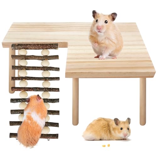 BORDEAG Hamster Spielzeug, Hamster-Kletterleiter, Hamster Leiter, Hamster Klettern Spielzeug, Holz-Kletterspielzeug, Hamsterhaus Aus Holz, Für Rennmaus, Meerschweinchen, Mäuse, Ratten BORDEAG Hamster Spielzeug, Hamster-Kletterleiter, Hamster Leiter, Hamster Klettern Spielzeug, Holz-Kletterspielzeug, Hamsterhaus Aus Holz, Für Rennmaus, Meerschweinchen, Mäuse, Ratten von BORDEAG