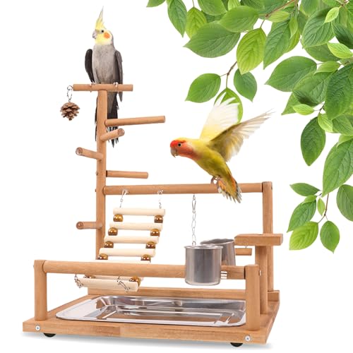 BORDEAG Vögel Spielplatz, Vogelspielplatz, Papageien-Spielständer, Spielplatz Für Wellensittiche Papageien Spielplatz Sitzstange Gym Ständer Für Papageien Cockatiels Kegel Finken von BORDEAG