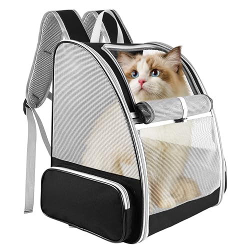 Bordeag Katzenrucksack, Hunderucksack, Katzen Rucksack Faltbare Katzen Rucksack Haustierrucksack Hunderucksack Haustier Rucksäcke Tragbare Katzen Transport Rucksack Reiserucksack Für Katzen Bis 7kg Bordeag Katzenrucksack, Hunderucksack, Katzen Rucksack Faltbare Katzen Rucksack Haustierrucksack Hunderucksack Haustier Rucksäcke Tragbare Katzen Transport Rucksack Reiserucksack Für Katzen Bis 7kg von BORDEAG