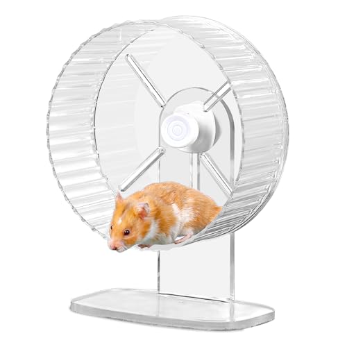 Hamsterrad, 21cm Silent Hamster Rad, Silent Wheel, Super Silent Hamster Übungsräder, Laufrad Hamster, Einstellbarer Stand Silent Hamster Rad für Hamster, Gerbils, Mäuse, Kleines Haustier (Transparent) Hamsterrad, 21cm Silent Hamster Rad, Silent Wheel, Super Silent Hamster Übungsräder, Laufrad Hamster, Einstellbarer Stand Silent Hamster Rad für Hamster, Gerbils, Mäuse, Kleines Haustier (Transparent) von BORDEAG