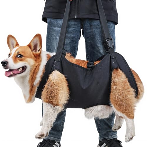 Hunde Tragehilfe, Tragbares Hundegeschirr, Verstellbare Hundehebegeschirr, Hundestützschlaufe, Hundetragegurt, Ganzkörperhebehilfe für Mittlere und Große Kranke Oder ältere Hunde (M) von BORDEAG