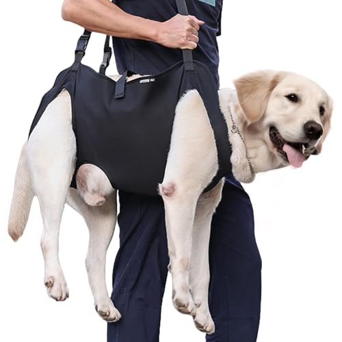 Hunde Tragehilfe, Tragbares Hundegeschirr, Verstellbare Hundehebegeschirr, Hundestützschlaufe, Hundetragegurt, Ganzkörperhebehilfe für Mittlere und Große Kranke Oder ältere Hunde (XL) von BORDEAG