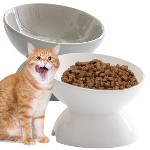 Katzennapf Set: 2x Keramik Napf Mit 15° Neigung,Futternapf Katze, Rutschfest & Spülmaschinenfest,Antischlingnapf Katze Keramik Für Futter Und Wasser,Zervixschutz Design,Für Katzen Und Kleine Hunde Katzennapf Set: 2x Keramik Napf Mit 15° Neigung,Futternapf Katze, Rutschfest & Spülmaschinenfest,Antischlingnapf Katze Keramik Für Futter Und Wasser,Zervixschutz Design,Für Katzen Und Kleine Hunde von BORDEAG
