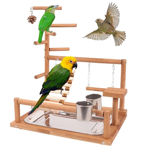 Parrot Playstand, Vögel Spielplatz, Wellensittich Spielzeug Vögel Spielplatz Papagei Spielplatz Papagei Vogelspielplatz Papageien-Spielständer Für Papageien, Finken, Nymphensittiche, Wellensittiche von BORDEAG
