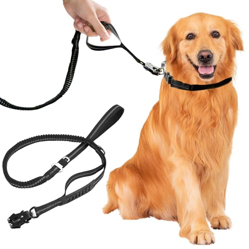 Schleppleine für Hunde 3 Meter, Robuste Hundeleine Lang, Verstellbare Doppelleine, Rostfreier Frosch-Karabiner, Trainingsleine Laufleine für Große & Kleine Hunde (Schwarz) von BORDEAG