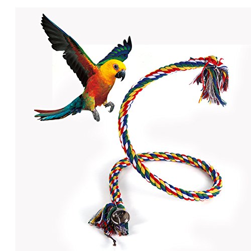 BORDSTRACT Papageien-Schaukelspielzeug, Buntes Baumwollseil-Schaukelspielzeug Für Kleine Und Mittelgroße Papageien Und Vögel – Langlebig, Flexibel Und Kaubar von BORDSTRACT