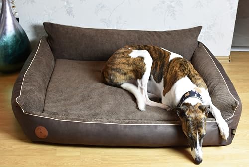 BORN2REST Orthopädisches Hundebett Rocky Visco-Matratze Hundsofa L-XXL für große Hunde maschinenwaschbar Europäischen Union hergestellt (Braun, M 83 x 73 cm) von BORN2REST
