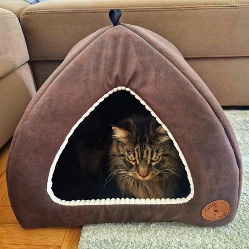 Katzenbetten für Hauskatzen, Faltbare Katzenbetthöhle, Katzenhaus mit waschbaren Kissen, Katzenbett für Kätzchen, Katzenzelt, warmes Katzenhaus Bella Lauren Design (Braun + Creme, 40 x 40 x 28 cm) Katzenbetten für Hauskatzen, Faltbare Katzenbetthöhle, Katzenhaus mit waschbaren Kissen, Katzenbett für Kätzchen, Katzenzelt, warmes Katzenhaus Bella Lauren Design (Braun + Creme, 40 x 40 x 28 cm) von BORN2REST