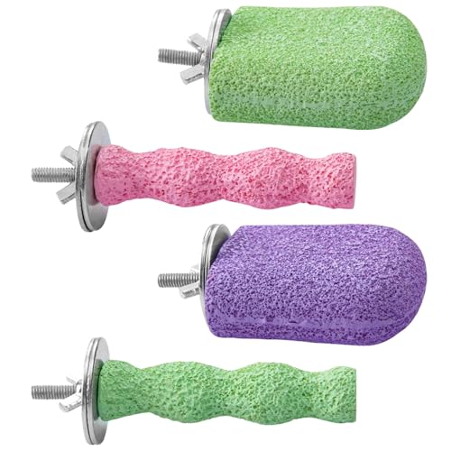 BOSREROY Vogelsitzstange Set mit großem Kürbis & kleinen Eisformen für Käfig, Nageltrimmen Harz Sitzstangen für Sittiche BOSREROY Vogelsitzstange Set mit großem Kürbis & kleinen Eisformen für Käfig, Nageltrimmen Harz Sitzstangen für Sittiche von BOSREROY