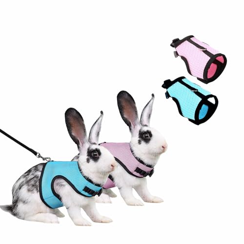 BOTOING Kaninchen Softgeschirr mit Leine,2 Stück Einstellbar Hasenleine,Hasenleine Elastisch,Kaninchen Zubehoer für Kaninchen,Kleintiere und Kleine Haustiere BOTOING Kaninchen Softgeschirr mit Leine,2 Stück Einstellbar Hasenleine,Hasenleine Elastisch,Kaninchen Zubehoer für Kaninchen,Kleintiere und Kleine Haustiere von BOTOING