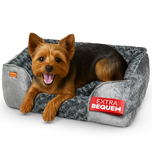 BOUCHABEL Komfortables Hundebett aus Memory-Schaum – Hundesofa, Hundekissen, Waschbar, rutschfest, Weich und Gemütlich – Perfekt für Kleine Hunde BOUCHABEL Komfortables Hundebett aus Memory-Schaum – Hundesofa, Hundekissen, Waschbar, rutschfest, Weich und Gemütlich – Perfekt für Kleine Hunde von BOUCHABEL