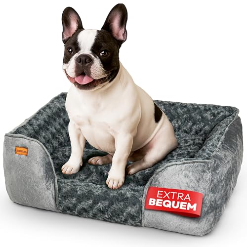 BOUCHABEL Komfortables Hundebett aus Memory-Schaum – Hundesofa, Hundekissen, Waschbar, rutschfest, Weich und Gemütlich – Perfekt für Kleine bis mittelgroße Hunde BOUCHABEL Komfortables Hundebett aus Memory-Schaum – Hundesofa, Hundekissen, Waschbar, rutschfest, Weich und Gemütlich – Perfekt für Kleine bis mittelgroße Hunde von BOUCHABEL