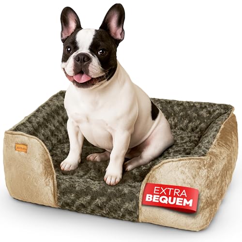BOUCHABEL Komfortables Hundebett aus Memory-Schaum – Hundesofa, Hundekissen, Waschbar, rutschfest, Weich und Gemütlich – Perfekt für kleine bis mittelgroße Hunde von BOUCHABEL