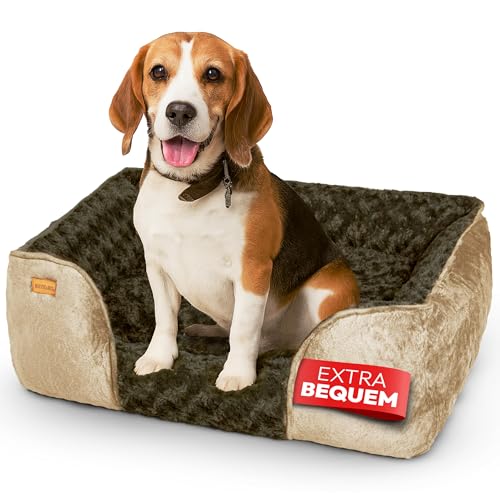 BOUCHABEL Komfortables Hundebett aus Memory-Schaum – Hundesofa, Hundekissen, Waschbar, rutschfest, Weich und Gemütlich – Perfekt für mittelgroße bis große Hunde BOUCHABEL Komfortables Hundebett aus Memory-Schaum – Hundesofa, Hundekissen, Waschbar, rutschfest, Weich und Gemütlich – Perfekt für mittelgroße bis große Hunde von BOUCHABEL