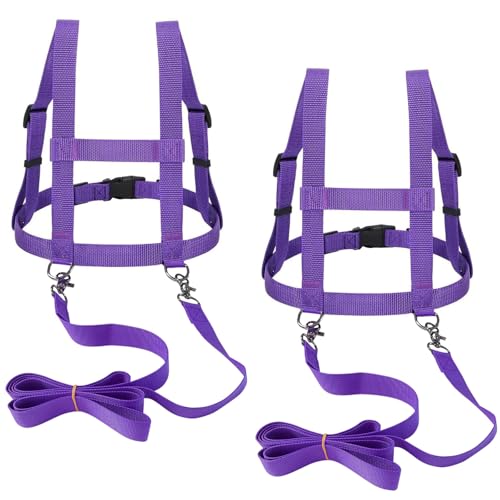 Pferdeleine zum Spielen für Kinder 2 Stück Lila, Pferdegeschirr für Kinder zum Spielen für Jungen und Mädchen, Multifunktional Größenverstellbare Pferdeleine Kinder, Skifahren Pferdeleine Kinder(Lila) von BOUFEIDA