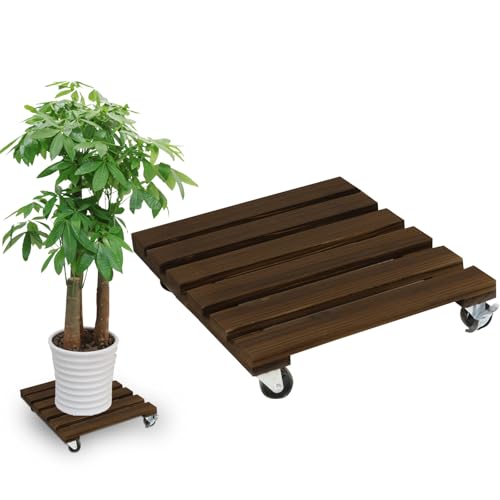 Pflanzenroller Quadratisch,1 Stuck Blumenroller 30x30cm Rollbrett Rund, Pflanzen Rollbrett 100Kg Tragkraft, Pflanzenroller Outdoor, Blumentopf Untersetzer Mit Rollen, Blumenuntersetzer mit Rollen von BOUFEIDA