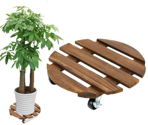 Pflanzenroller Rund, 1 Stuck Blumenroller 30x30cm Rollbrett Rund, Pflanzen Rollbrett 100Kg Tragkraft, Pflanzenroller Outdoor, Blumentopf Untersetzer Mit Rollen, Blumenuntersetzer Rund mit Rollen von BOUFEIDA