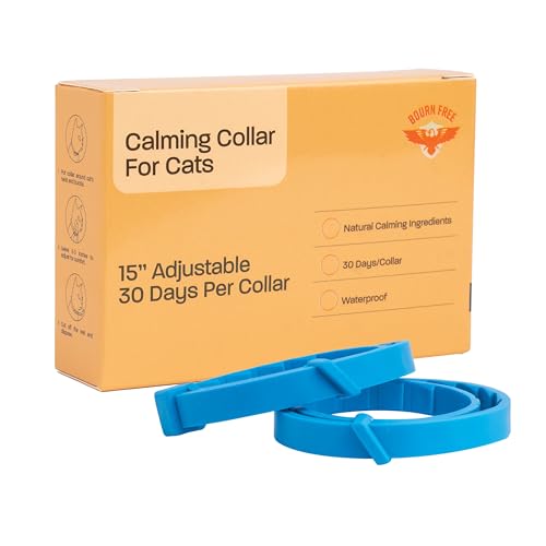 Beruhigendes Halsband für Katzen – Beruhigendes Katzenhalsband, Katzen-Pheromon-Halsband, beruhigendes Katzenhalsband für Angstzustände – effiziente Linderung von Stressabbau für Katzen, ideal zum von BOURN FREE 3NT