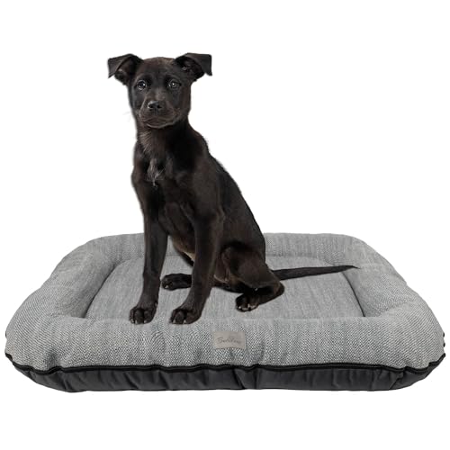 BOUTIQUE ZOO Hundebett - Wasserfest, Waschbar Hundematte aus Codura | In & Outdoor für große Hunde | Farbe: Grau, Größe XL: 105 x 85 cm BOUTIQUE ZOO Hundebett - Wasserfest, Waschbar Hundematte aus Codura | In & Outdoor für große Hunde | Farbe: Grau, Größe XL: 105 x 85 cm von BOUTIQUE ZOO