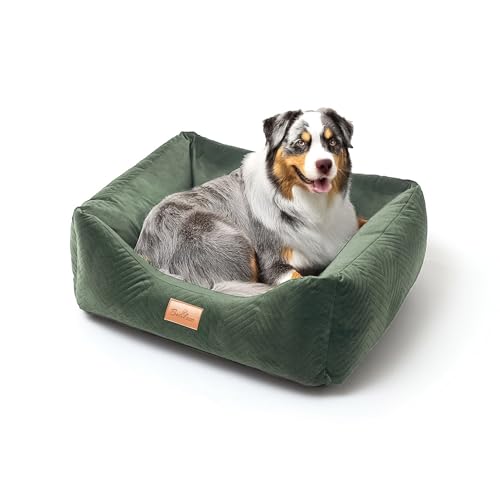 BOUTIQUE ZOO Exclusive Hundebett | Hundeliege, Hundekörbchen mit Kissen | Hundesofa für mittlere Hunde | Große: L - 87 x 76 x 20 cm | Farbe: Velvet Grün von BOUTIQUE ZOO