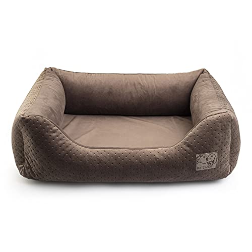 BOUTIQUE ZOO Exclusive Hundebett | Hundeliege, Hundekörbchen mit Kissen | Hundesofa für kleine Hunde | Große: S - 63 x 55 x 19 cm | Farbe: Velvet Braun von BOUTIQUE ZOO