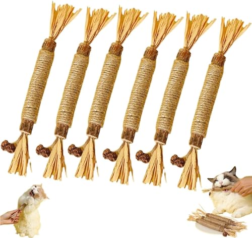 BOWTONG Nuna Pets Kaustab, 1/5 Stück Nunapets Kauspielzeug, Nunapets Natural Silvervine Stick Sticks Chew Pets Chew Nuna Spielzeug von BOWTONG