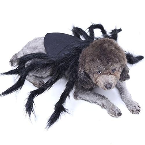 BOWTONG Schwarze Spinne Spielzeug Hund Haustier Dekoration Gruselige Kinder Haustiere Spinne Schwarz Halloween Spielzeug Spielzeug A8g6 Gadgets Lustig von BOWTONG