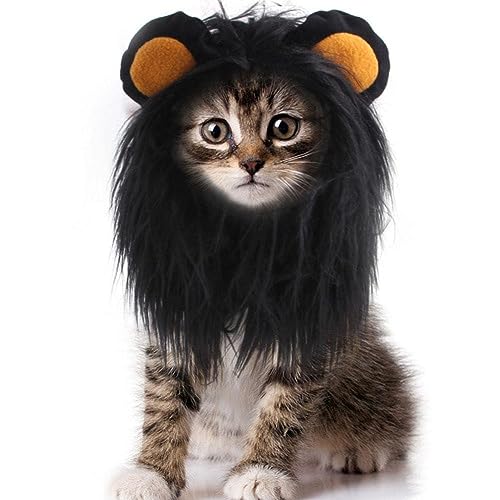Niedliche Löwenmähne Perücke Hut Für Kleine S Hunde Party Cosplay Kostüm Kopfbedeckung Hut O0u0 Zubehör Ohren Kätzchen Welpen Mit von BOWTONG