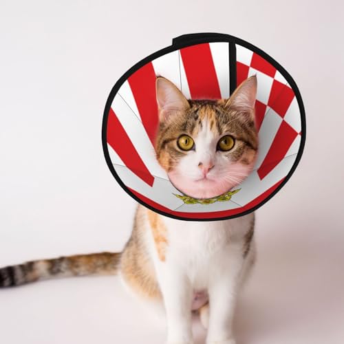 Bremen Banner Weiches Hundehalsband, Depets Verstellbare Genesung Haustier Kegel E-Halsband für Katzen Kätzchen Kaninchen, bequemes elisabethanisches Halsband Bremen Banner Weiches Hundehalsband, Depets Verstellbare Genesung Haustier Kegel E-Halsband für Katzen Kätzchen Kaninchen, bequemes elisabethanisches Halsband von BOXILTD