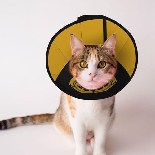 Cornwall County Flagge, weiches Hundehalsband, Depets verstellbare Genesung, Haustier-Kegel, E-Halsband für Katzen, Kätzchen, Kaninchen, bequemes elisabethanisches Halsband Cornwall County Flagge, weiches Hundehalsband, Depets verstellbare Genesung, Haustier-Kegel, E-Halsband für Katzen, Kätzchen, Kaninchen, bequemes elisabethanisches Halsband von BOXILTD