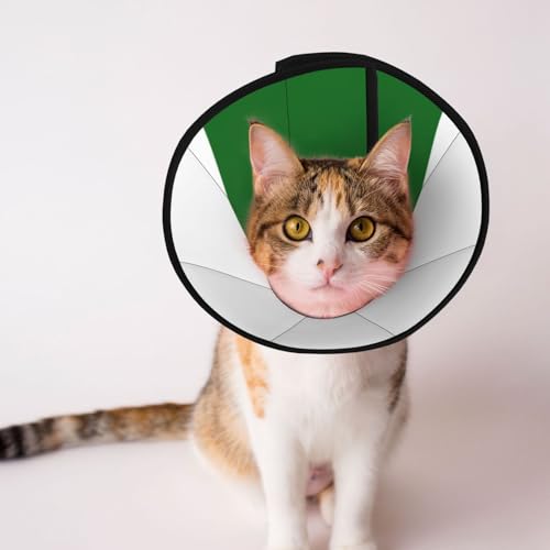 Depets Hundehalsband, Flagge von Sachsen, weich, verstellbar, für Katzen, Kätzchen, Kaninchen, bequemes elisabethanisches Halsband Depets Hundehalsband, Flagge von Sachsen, weich, verstellbar, für Katzen, Kätzchen, Kaninchen, bequemes elisabethanisches Halsband von BOXILTD