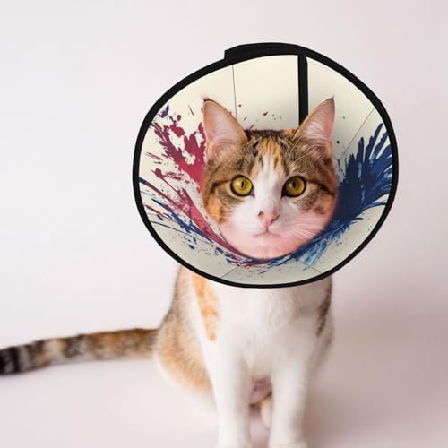 Eagle Hundehalsband mit amerikanischer Flagge, weich, verstellbar, für Katzen, Kätzchen, Kaninchen, bequemes elisabethanisches Halsband Eagle Hundehalsband mit amerikanischer Flagge, weich, verstellbar, für Katzen, Kätzchen, Kaninchen, bequemes elisabethanisches Halsband von BOXILTD