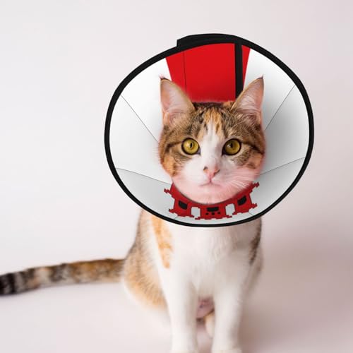 Flag of Gibraltar Weiches Hundehalsband, Depets Verstellbare Genesung Haustier Kegel E-Halsband für Katzen Kätzchen Kaninchen, bequemes elisabethanisches Halsband von BOXILTD