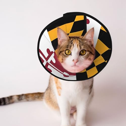 Flag of Maryland weiches Hundehalsband, Depets verstellbare Genesung, Haustier-Kegel, E-Halsband für Katzen, Kätzchen, Kaninchen, bequemes elisabethanisches Halsband Flag of Maryland weiches Hundehalsband, Depets verstellbare Genesung, Haustier-Kegel, E-Halsband für Katzen, Kätzchen, Kaninchen, bequemes elisabethanisches Halsband von BOXILTD