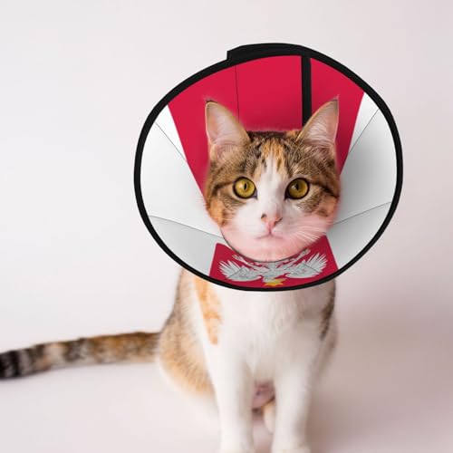 Flag of Poland weiches Hundehalsband, Depets verstellbare Genesung Haustier Kegel E-Halsband für Katzen Kätzchen Kaninchen, bequemes elisabethanisches Halsband Flag of Poland weiches Hundehalsband, Depets verstellbare Genesung Haustier Kegel E-Halsband für Katzen Kätzchen Kaninchen, bequemes elisabethanisches Halsband von BOXILTD