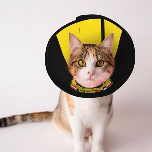 Flagge des Bundeslandes Baden-Württemberg Weiches Hundekegel-Halsband, Depets Verstellbares Genesungs-Haustier-Kegel-E-Halsband für Katzen Kätzchen Kaninchen, bequemes elisabethanisches Halsband Flagge des Bundeslandes Baden-Württemberg Weiches Hundekegel-Halsband, Depets Verstellbares Genesungs-Haustier-Kegel-E-Halsband für Katzen Kätzchen Kaninchen, bequemes elisabethanisches Halsband von BOXILTD