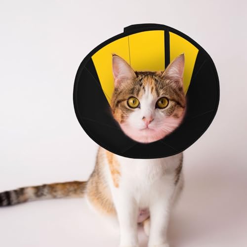 Flagge des Kantons Sachsen-Anhalt Weiches Hunde-Kegelhalsband, Depets Verstellbares Genesungs-Haustier-Kegel-E-Halsband für Katzen, Kätzchen, Kaninchen, bequemes elisabethanisches Halsband Flagge des Kantons Sachsen-Anhalt Weiches Hunde-Kegelhalsband, Depets Verstellbares Genesungs-Haustier-Kegel-E-Halsband für Katzen, Kätzchen, Kaninchen, bequemes elisabethanisches Halsband von BOXILTD