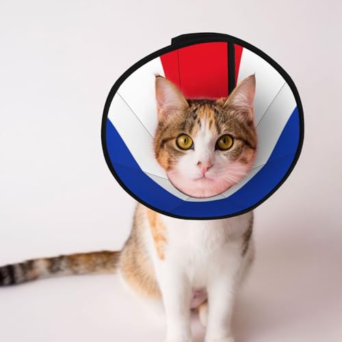 Flagge des Kantons Schleswig-Holstein, weiches Hundekegel-Halsband, Depets verstellbar, Genesung, Haustier-Kegel, E-Halsband für Katzen, Kätzchen, Kaninchen, bequemes elisabethanisches Halsband Flagge des Kantons Schleswig-Holstein, weiches Hundekegel-Halsband, Depets verstellbar, Genesung, Haustier-Kegel, E-Halsband für Katzen, Kätzchen, Kaninchen, bequemes elisabethanisches Halsband von BOXILTD