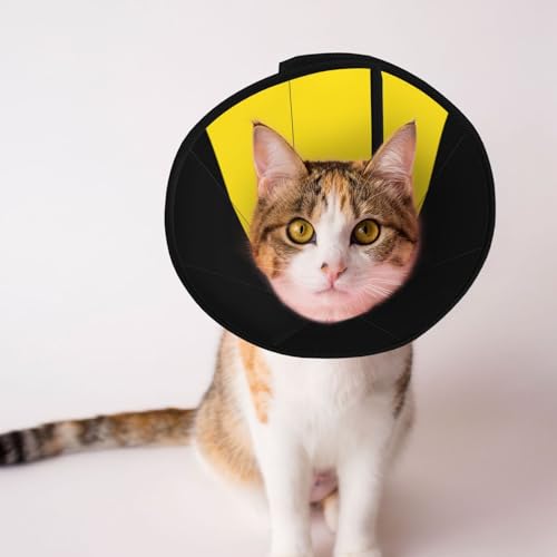 Flagge von Baden-Württemberg Weiches Hundekegel-Halsband, Depets Einstellbare Erholung Haustier Kegel E-Halsband für Katzen Kätzchen Kaninchen, bequemes elisabethanisches Halsband Flagge von Baden-Württemberg Weiches Hundekegel-Halsband, Depets Einstellbare Erholung Haustier Kegel E-Halsband für Katzen Kätzchen Kaninchen, bequemes elisabethanisches Halsband von BOXILTD