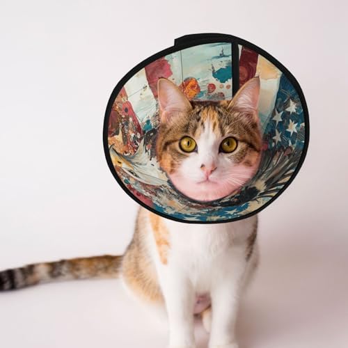 Goshawk Weiches Hundehalsband, Depets Verstellbare Genesung Haustier Kegel E-Halsband für Katzen Kätzchen Kaninchen, bequemes elisabethanisches Halsband Goshawk Weiches Hundehalsband, Depets Verstellbare Genesung Haustier Kegel E-Halsband für Katzen Kätzchen Kaninchen, bequemes elisabethanisches Halsband von BOXILTD