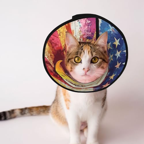 Handsome Eagle Weiches Hundehalsband, Depets Verstellbare Genesung Haustier Kegel E-Halsband für Katzen Kätzchen Kaninchen, bequemes elisabethanisches Halsband Handsome Eagle Weiches Hundehalsband, Depets Verstellbare Genesung Haustier Kegel E-Halsband für Katzen Kätzchen Kaninchen, bequemes elisabethanisches Halsband von BOXILTD