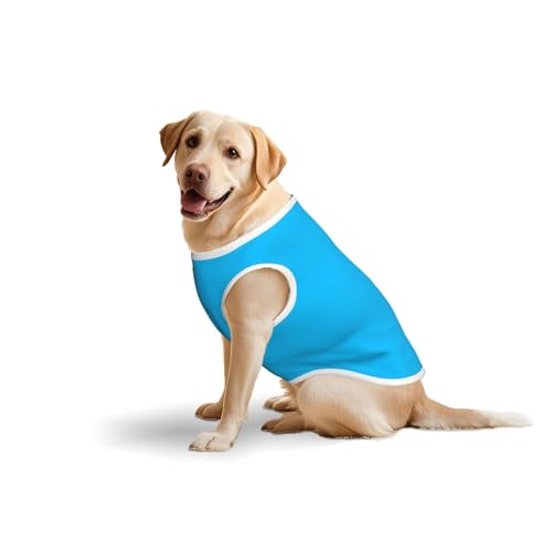 Hellblaue Hundekleidung für mittelgroße und große Hunde – weiche Baumwollkleidung für den täglichen Gebrauch, Spazierengehen, Größe L, Blau, Gelb Hellblaue Hundekleidung für mittelgroße und große Hunde – weiche Baumwollkleidung für den täglichen Gebrauch, Spazierengehen, Größe L, Blau, Gelb von BOXILTD